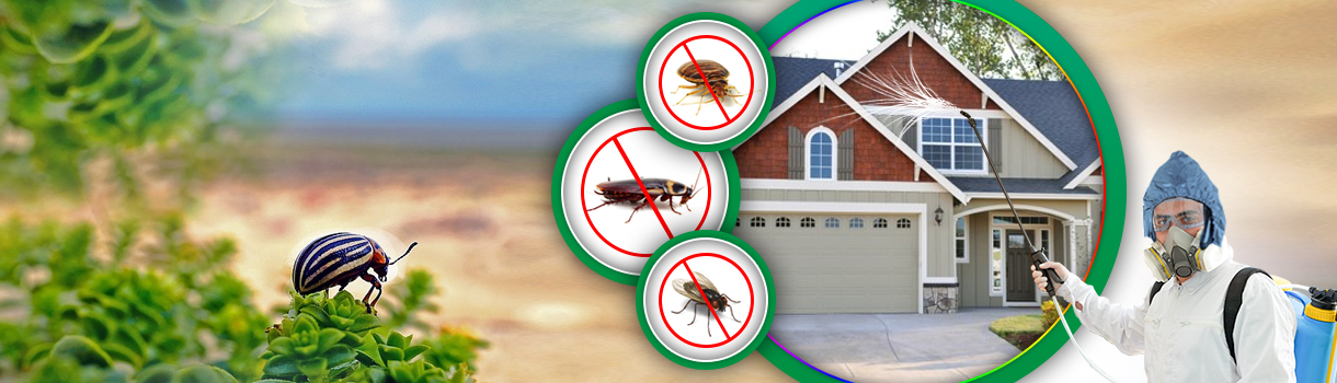 cockroach pest control treatment gujarat