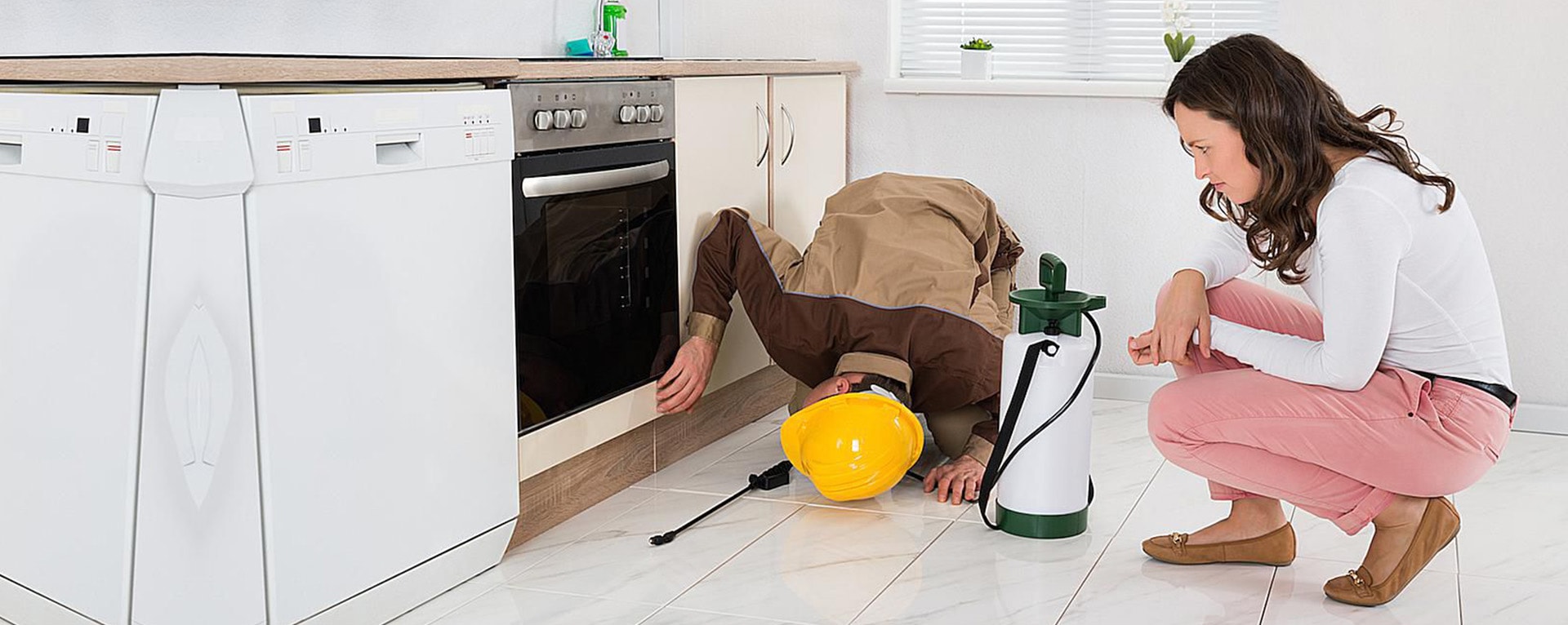 pest control ahmedabad price