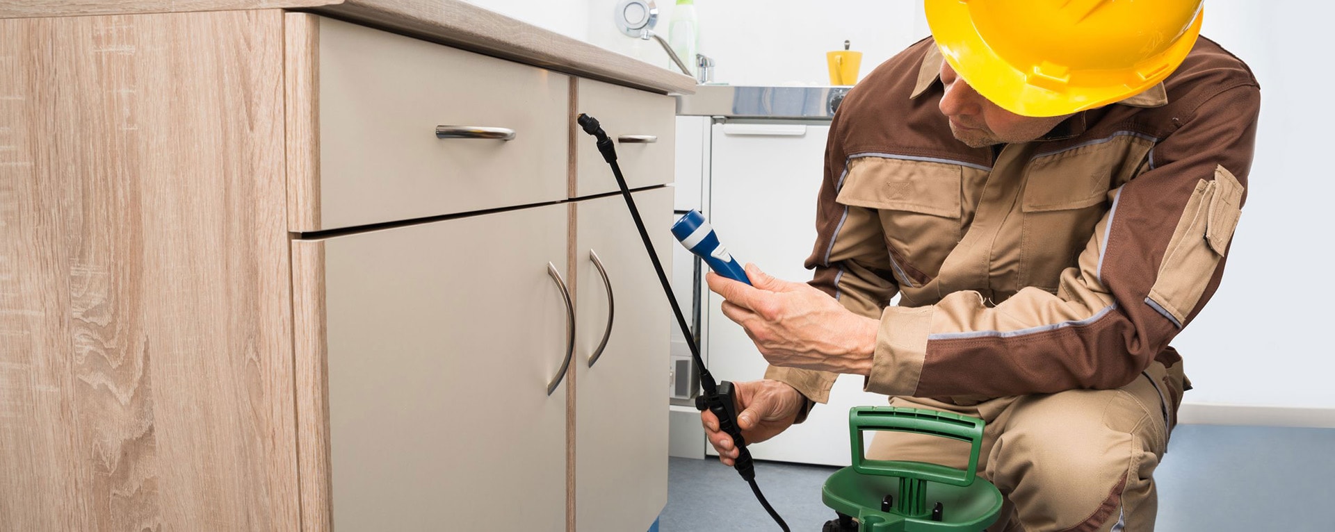 best termite control services Ahmedabad