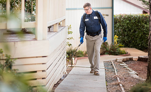 commercial pest control service in gujarat commercial pest control service in gujarat